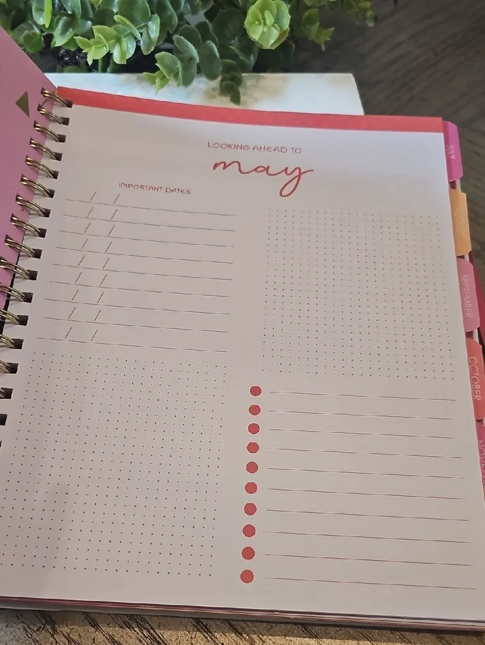 Busy Overthinking 2026 Weekly Planner - White with Multicolor Dots NWT